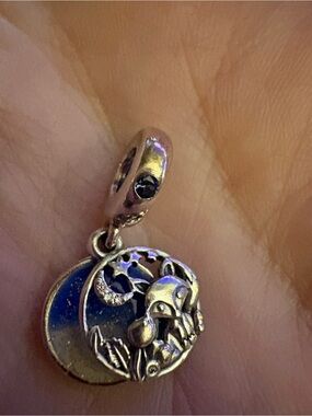 Pandora charm